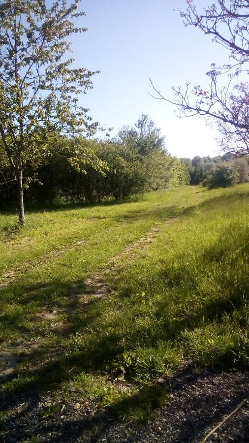 Domaine De Gentilly Saint-Maurice-lès-Charencey Dış mekan fotoğraf
