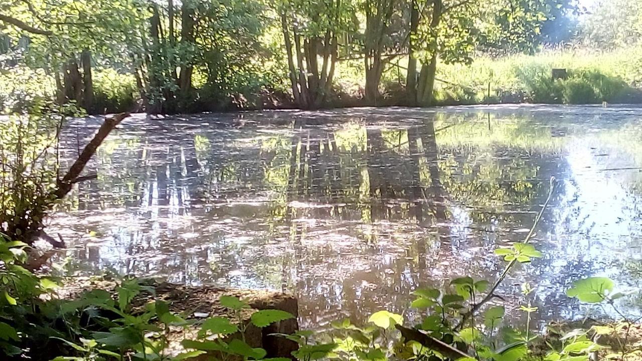 Domaine De Gentilly Saint-Maurice-lès-Charencey Dış mekan fotoğraf